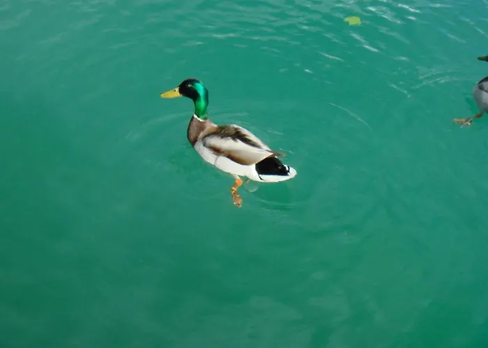 Schlossvilla Miralago Hotel